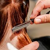 Motif image for NYC Pop Up: Back to Blade Basics