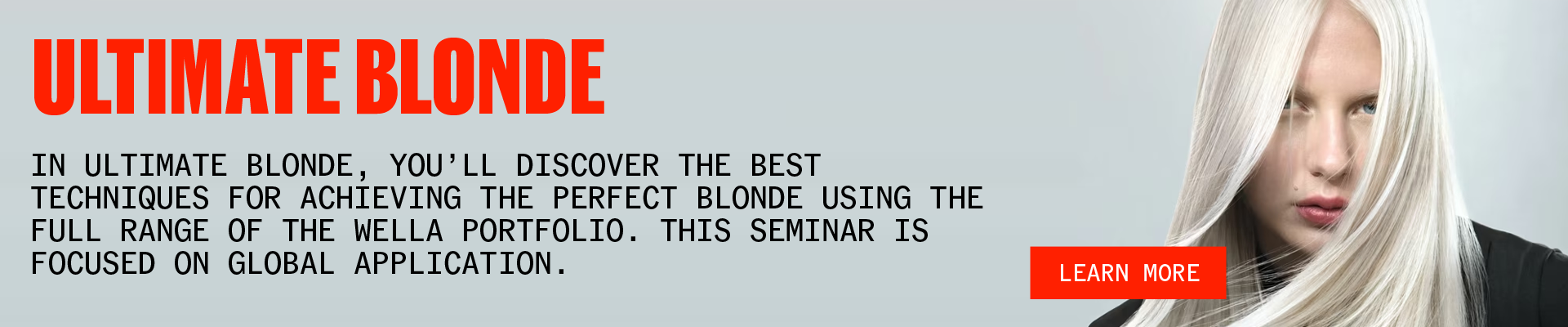 Ultimate Blonde Seminars 