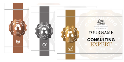 Certifications for the Business Consultation Journey